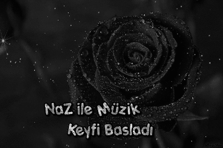 img_69e6.gif